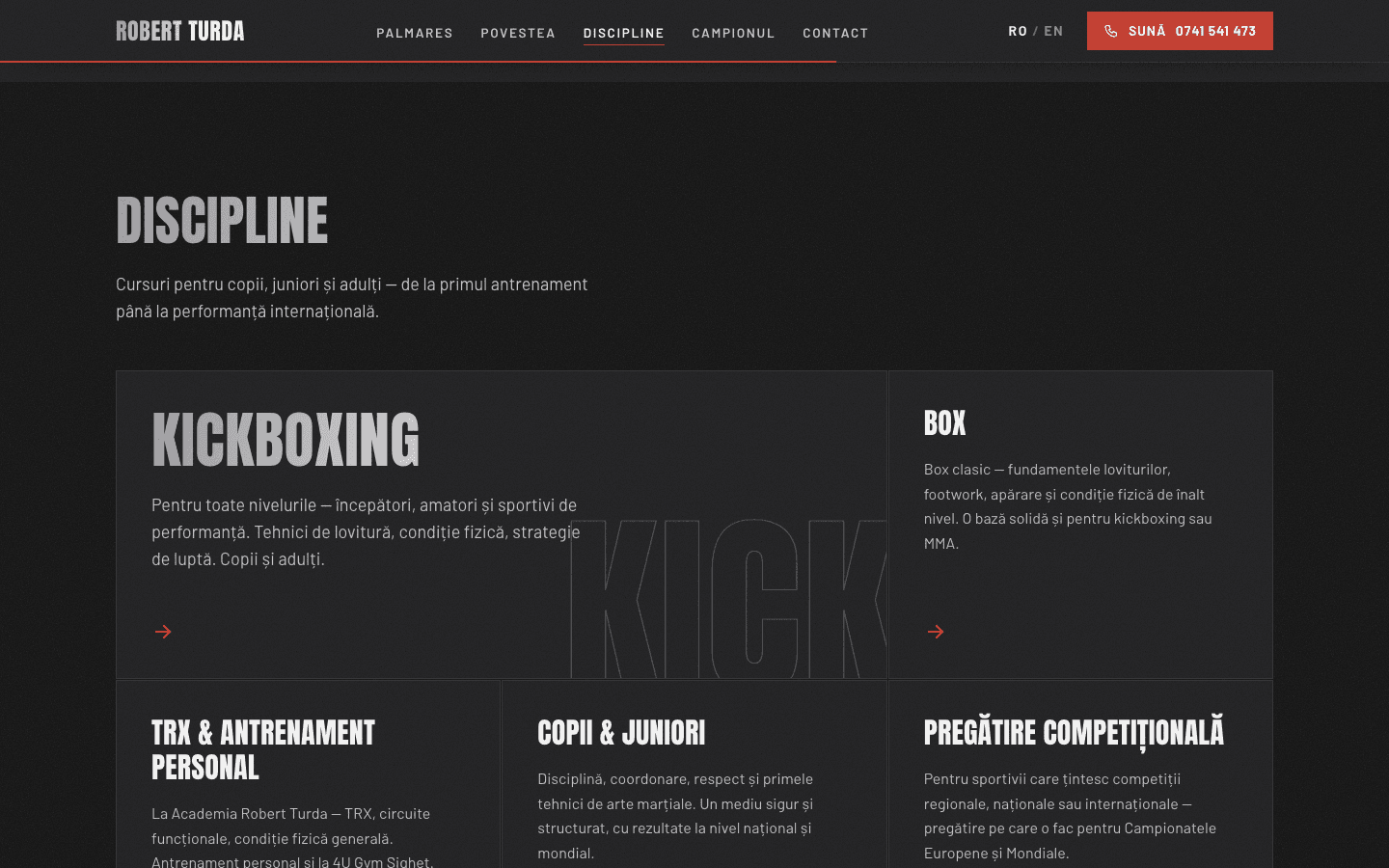 Secțiunea de discipline - kickboxing în cartonașul mare, box, TRX, copii și juniori, pregătire competițională