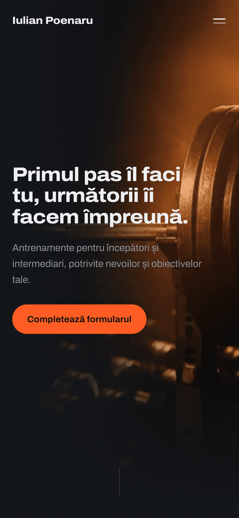 Aceeași pagină pe telefon